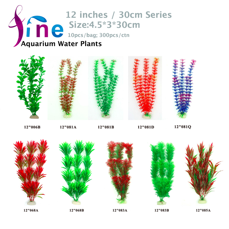 12-30cm-Plants-1.jpg