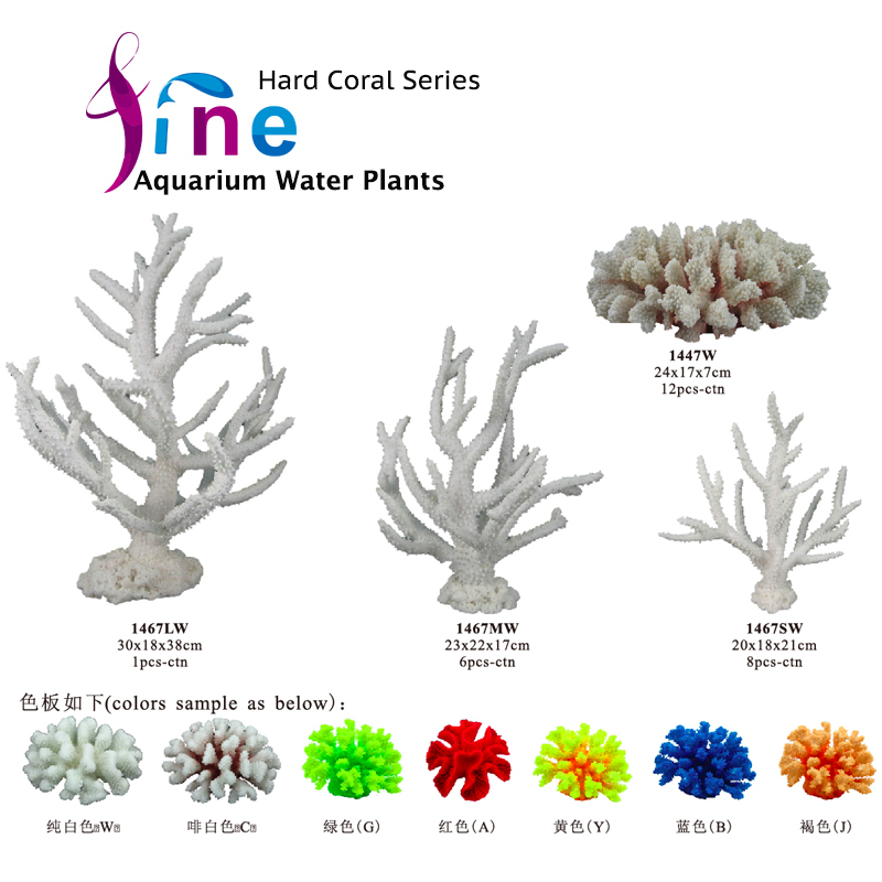 FA-hard coral-4.jpg