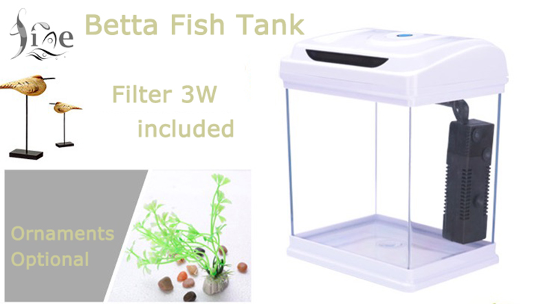 Betta fish tank details 01.jpg