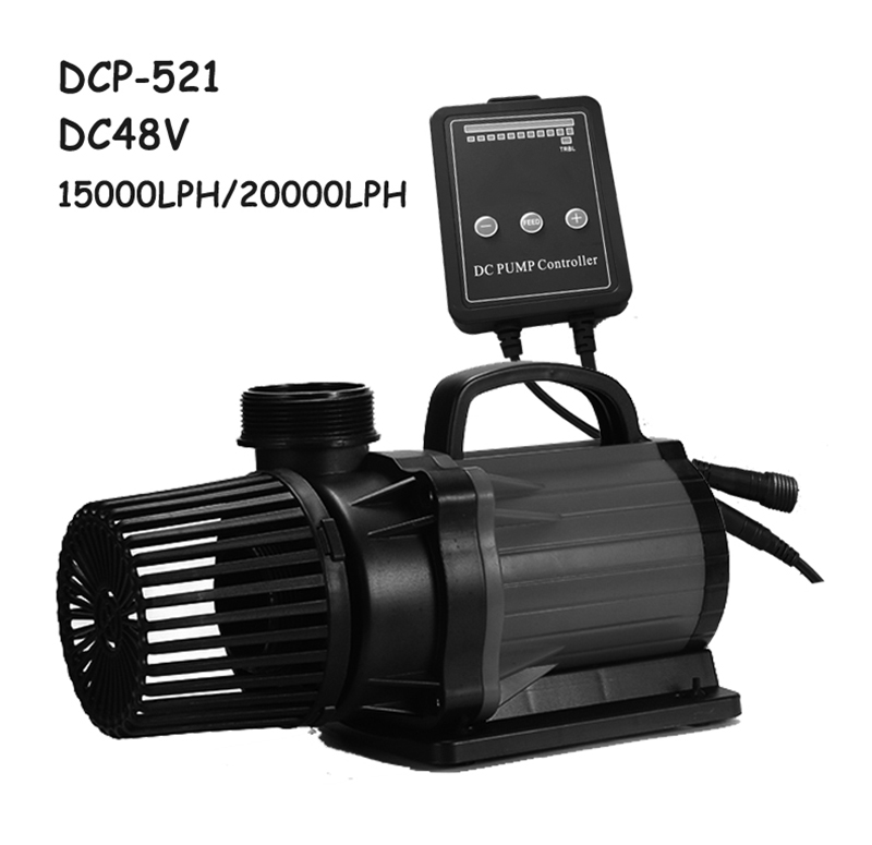 DCP-521-20000.jpg