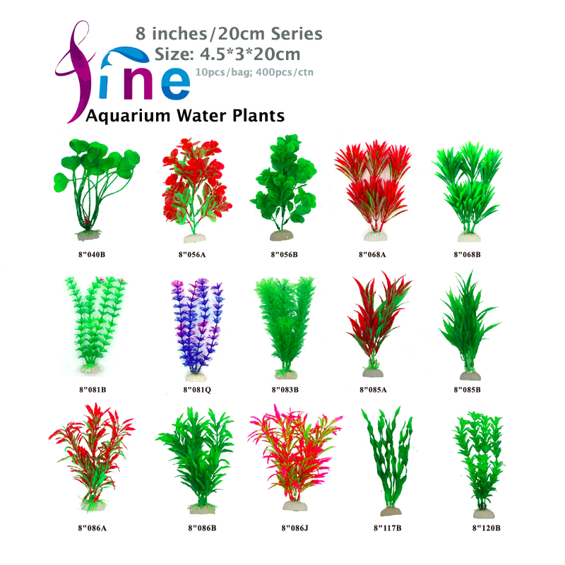 8-20cm-Plants-2.jpg