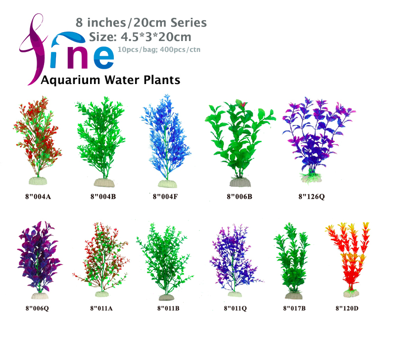 8-20cm-Plants-1.jpg