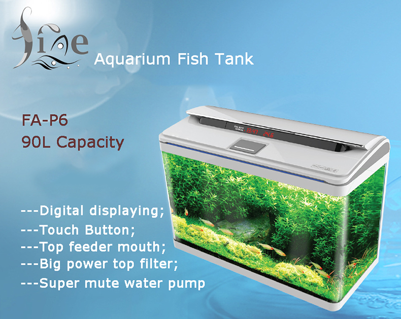 aquarium fish tank P6-00.jpg