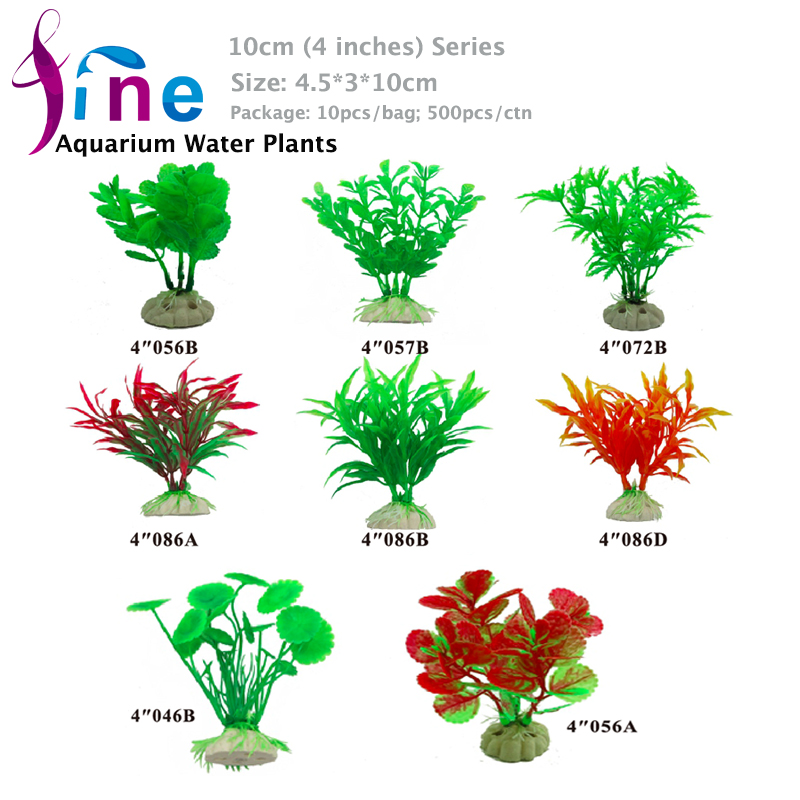 4-10cm-Plants-2.jpg
