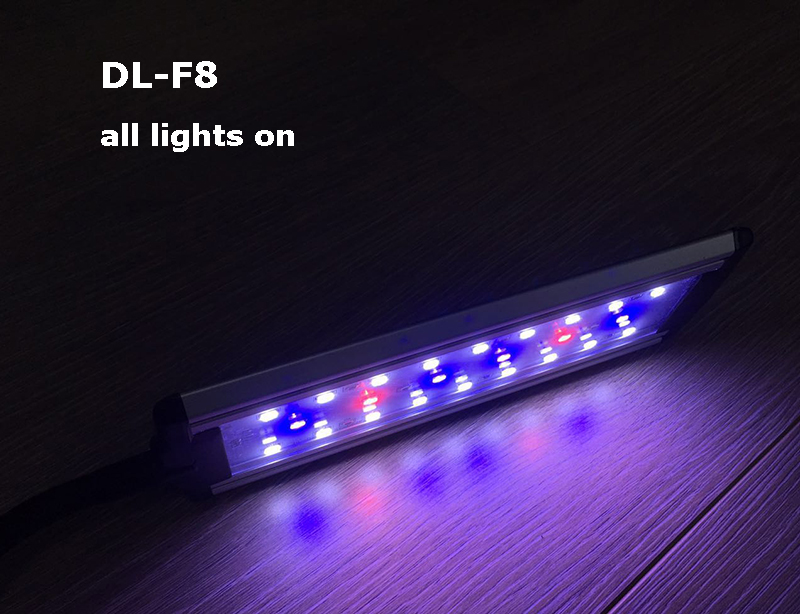 DL-F8 all lights on.jpeg